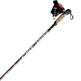 палки для беговых лыж SkiGo Vasa Красный